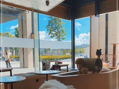 -瞄一喵猫咖(格力海岸店)