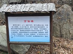 -白佛山景区