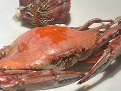 -苏大嘴蒸汽海鲜·海胆蒸饺(中山广场店)