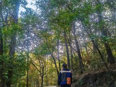 -青龙山国家森林公园