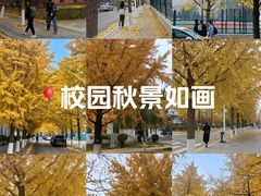 -东北大学(南湖校区)