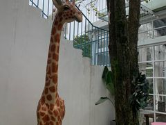 -三圣花乡旅游区