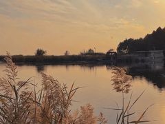 -苏州太湖湖滨国家湿地公园