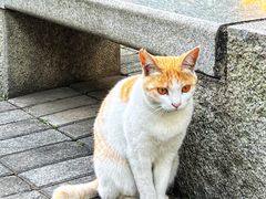 -广州珠江公园