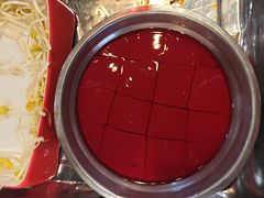-钢管厂五区小郡肝火锅串串香(总店)