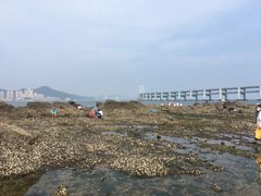 -黑石礁公园