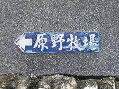 门面-原野牧场