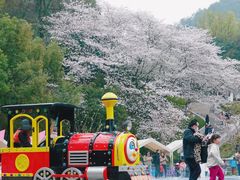 -杭州少年儿童公园
