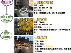 -成都大熊猫繁育研究基地