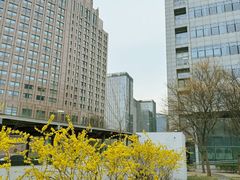 -ITA·意塔意大利餐厅(亦庄店)