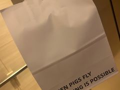 -WHEN PIGS FLY当猪飞