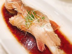 清蒸东星斑-成事园(兰溪店)