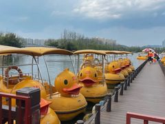 -洋湖国家湿地公园