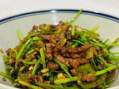 -新新湘菜馆(新中街二条店)