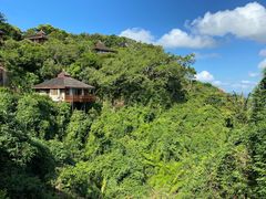 -三亚亚龙湾人间天堂鸟巢度假村