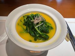 -觀芷隐轩