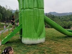 -西部长青自然儿童乐园