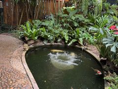 -Fern Forest Cafe