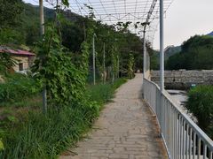 -天源渔港农庄