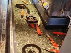 -0776食堂·京城创意菜(七里庄店)