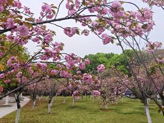 -杭州电子科技大学(下沙校区)