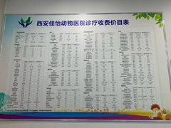 -佳怡动物医院·平价24小时·猫专科骨外科