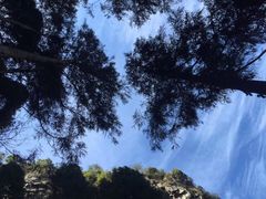 -大罗山风景区