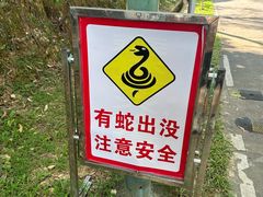 -风云岭森林公园