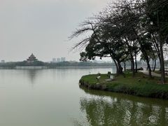 -顺峰山公园