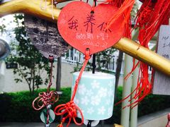 -幻彩摩天轮