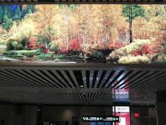 -哈尔滨太平国际机场