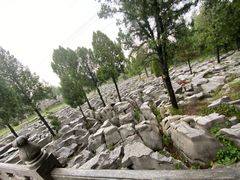 -原山国家森林公园