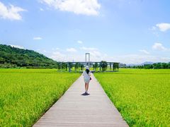 -艾米稻香小镇