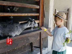 -乌村
