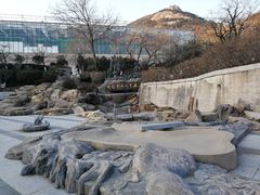 -石老人观光园