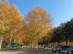 -河南省黄河迎宾馆