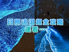 -日照世帆赛基地