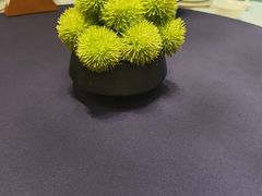 -百盛·鼎膳(中海财富中心)