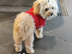 -亿诣蝎府炸酱面羊蝎子火锅(酷车小镇店)