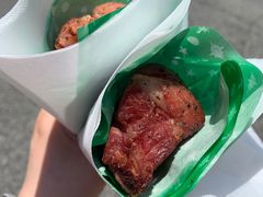 -飞天翼龙