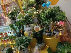-万达广场(大明宫店)
