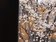 -龙华寺