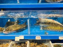 -七鲜超市(瑞虹天地太阳宫店)