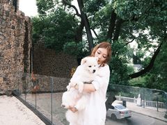 -J Create城市露营咖啡·简餐·宠物(上海动物园店)