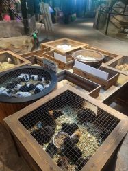 -酷嗒动物文化乐园(cutezoo西溪乐天城店)