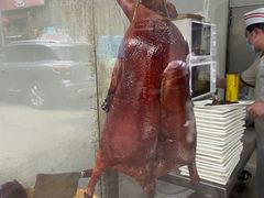 -姚林轩