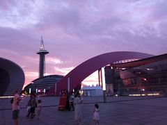 -南京奥林匹克体育中心-体育馆