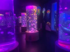 -顺德南宏海立方海洋公园