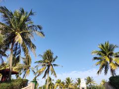 -白沙门生态公园