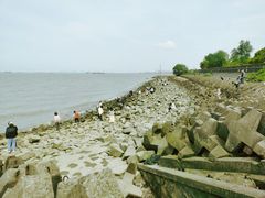 -上海滨江森林公园